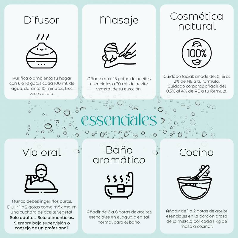 Eucalipto | Aceite esencial