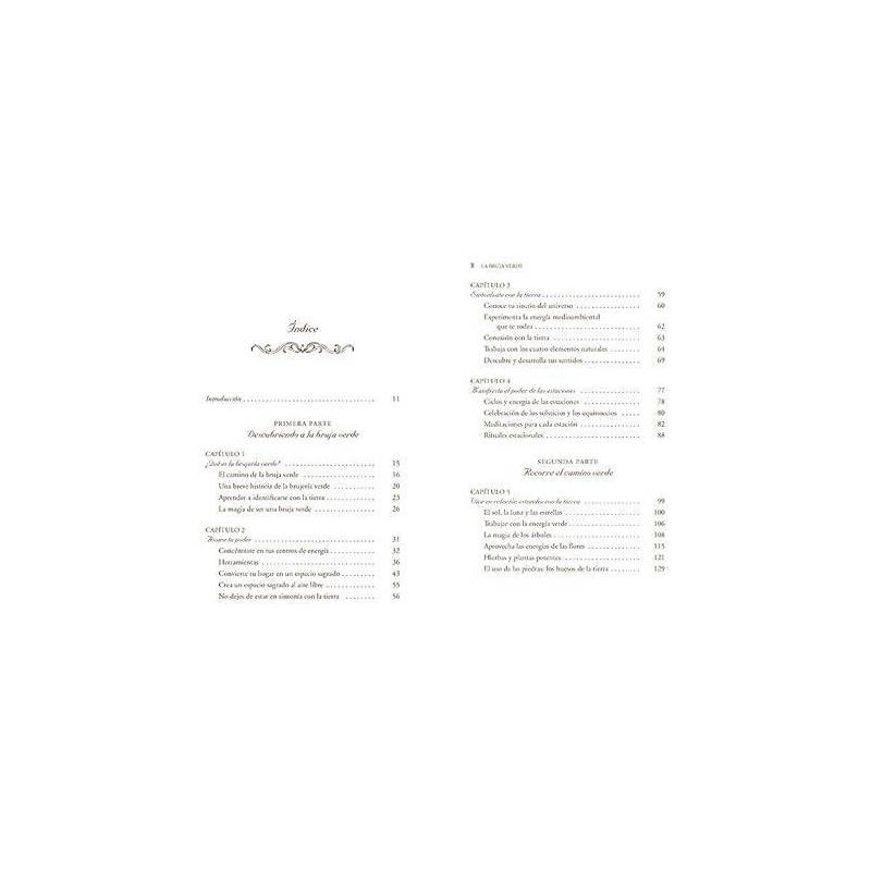 La Bruja Verde - Libro