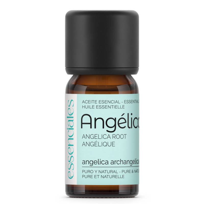 Aceite esencial de Angélica, 100% puro y natural, 10 ml.