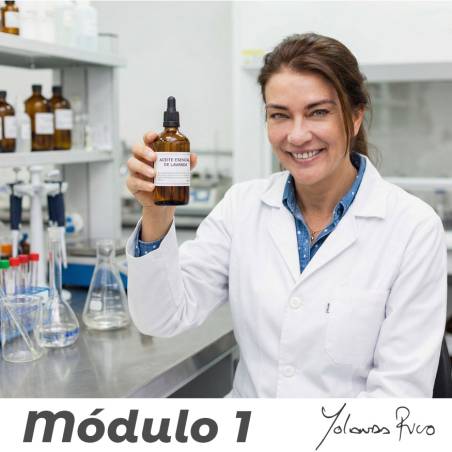 Sinergia Personalizada - Consulta Gratuita