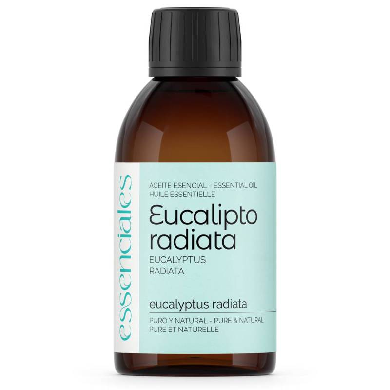 Aceite esencial de Eucalipto Radiata, 100% puro, natural y australiano. 200 ml