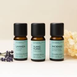 Balance & Harmonie Set – Ätherische Öle von Ylang Ylang, Weihrauch und Lavendel