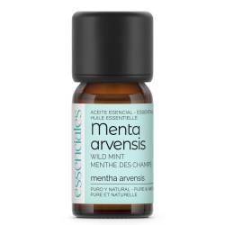 Aceite esencial de Menta Arvensis, de campo o Menta japonesa, 100% puro y natural, 10 ml.