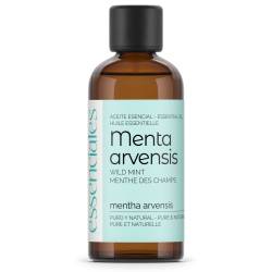 Aceite esencial de Menta Arvensis, de campo o Menta japonesa, 100% puro y natural, 100 ml.