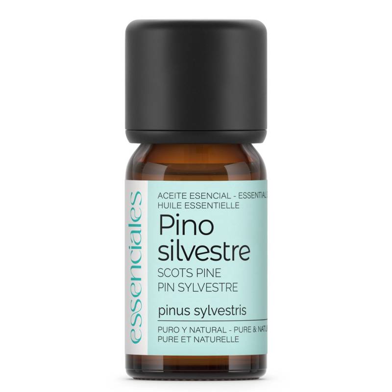 Aceite esencial de Pino silvestre, 100% puro y natural, 10 ml.