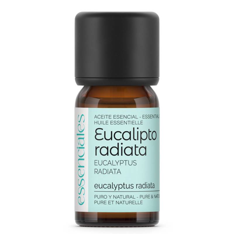Aceite esencial de Eucalipto Radiata, 100% puro, natural y australiano. 10 ml