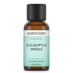 Eucalyptus Essential Oil, Whole & Raw, 100% pure & natural, 30 ml.