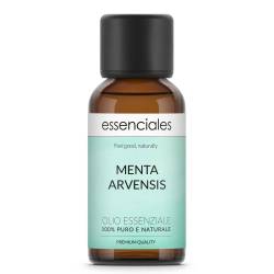 Aceite esencial de Menta Arvensis, de campo o Menta japonesa, 100% puro y natural, 30 ml.