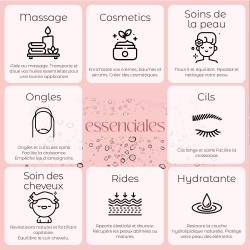 Huile de Noisette | Essenciales.com
